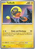 Tadbulb  076/197 Common Obsidian Flames Pokemon TCG - guardiangamingtcgs